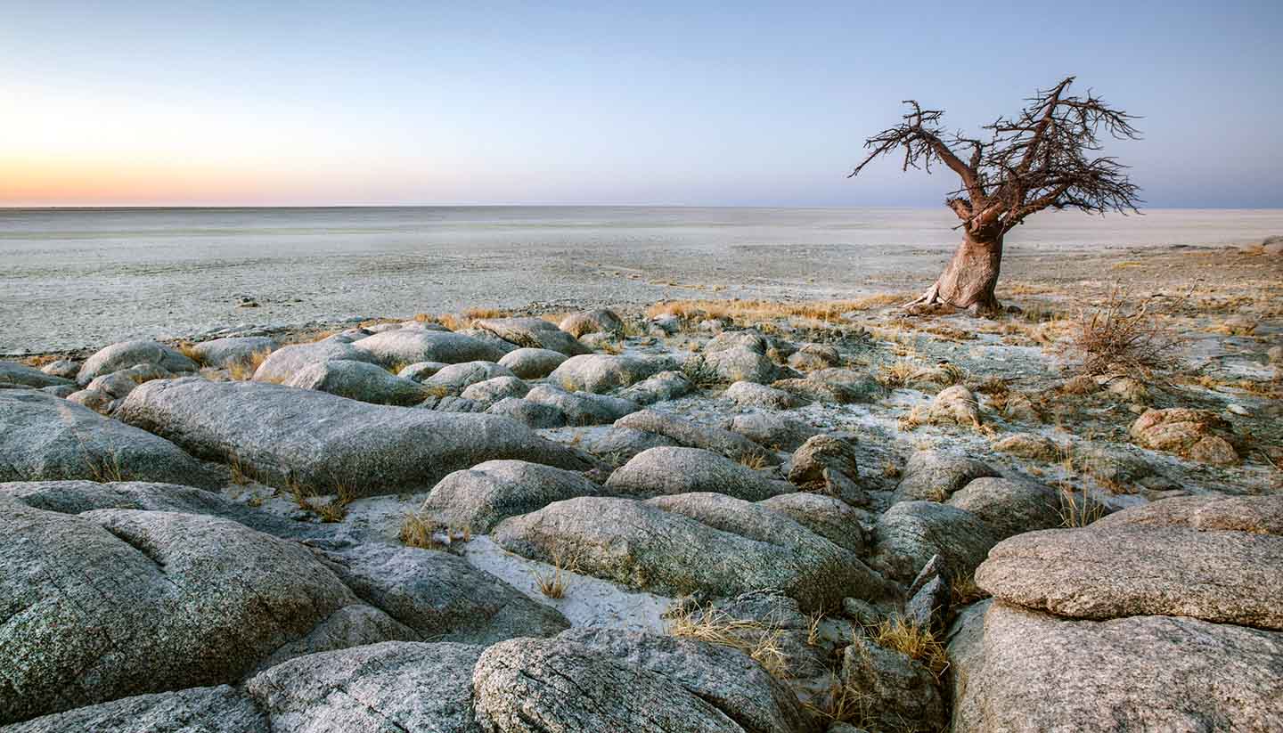 Botswana - Think-Botswana-MakgadikgadiNP-520443917-2630ben-Copy (1)