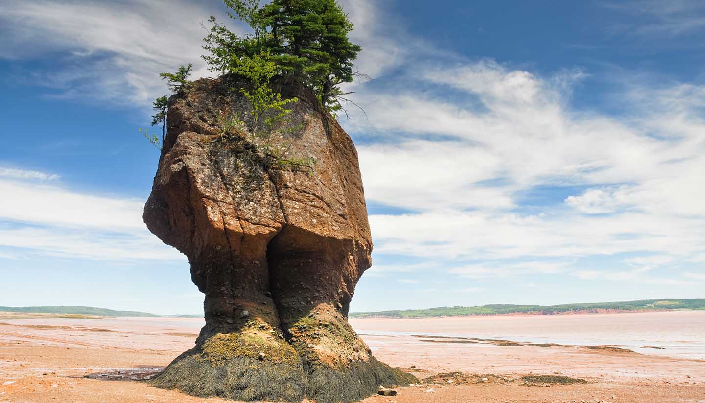 New Brunswick - Hopewell Rocks at low tide, Fundy bay (Canada)