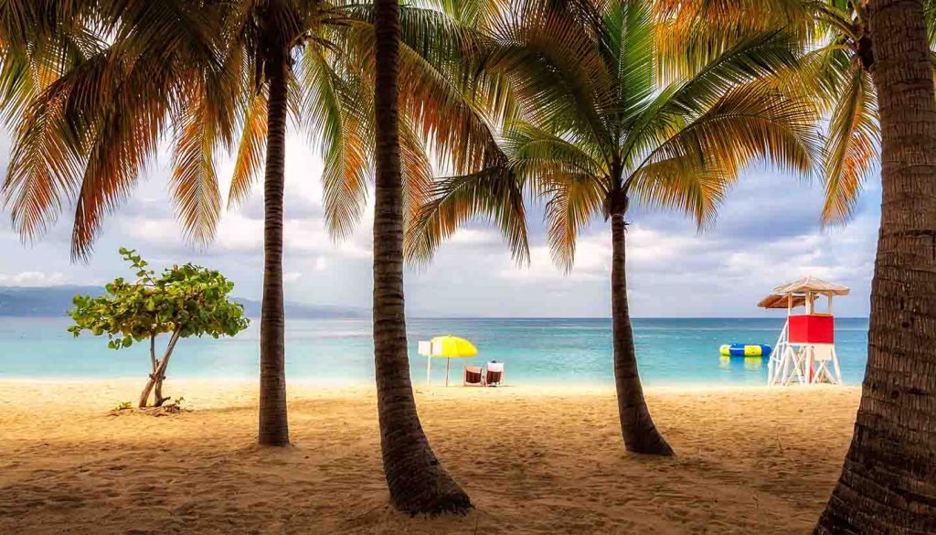 Jamaika - Beach in Jamaica with tall palm tree on Caribbean sea