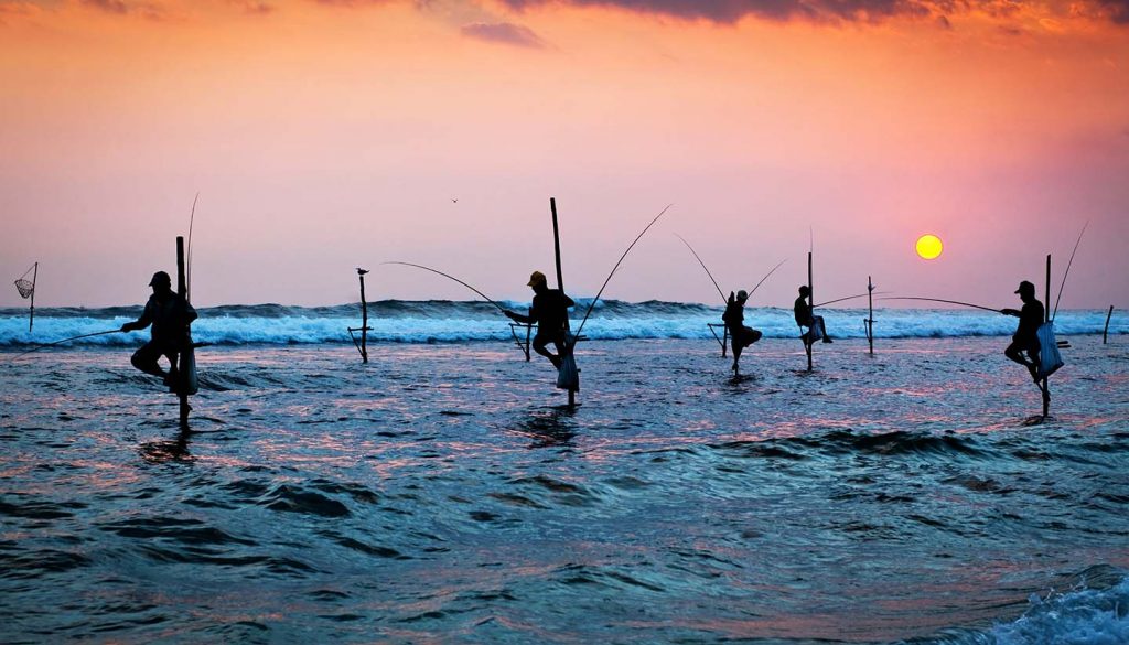 Sri Lanka - traditional stilt fishermen at the sunset nea