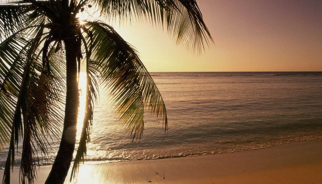 Trinidad und Tobago - Silhouette of a palm tree on a beach, Pigeon Point Beach, Tobago, Trinidad and Tobago