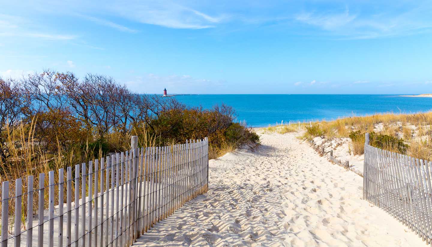 Delaware - Delaware Coastal View