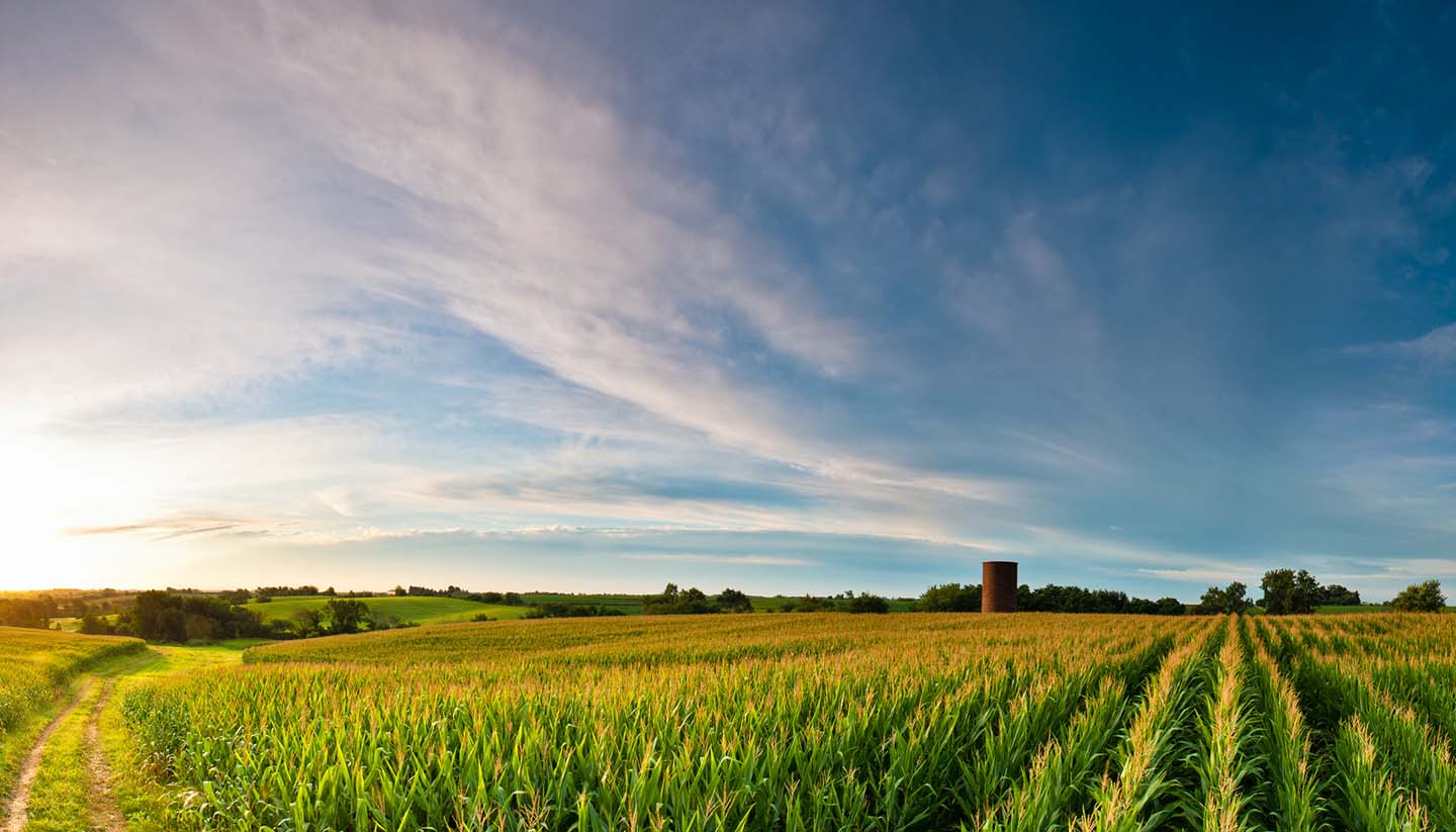 Iowa - Clouds over Corn