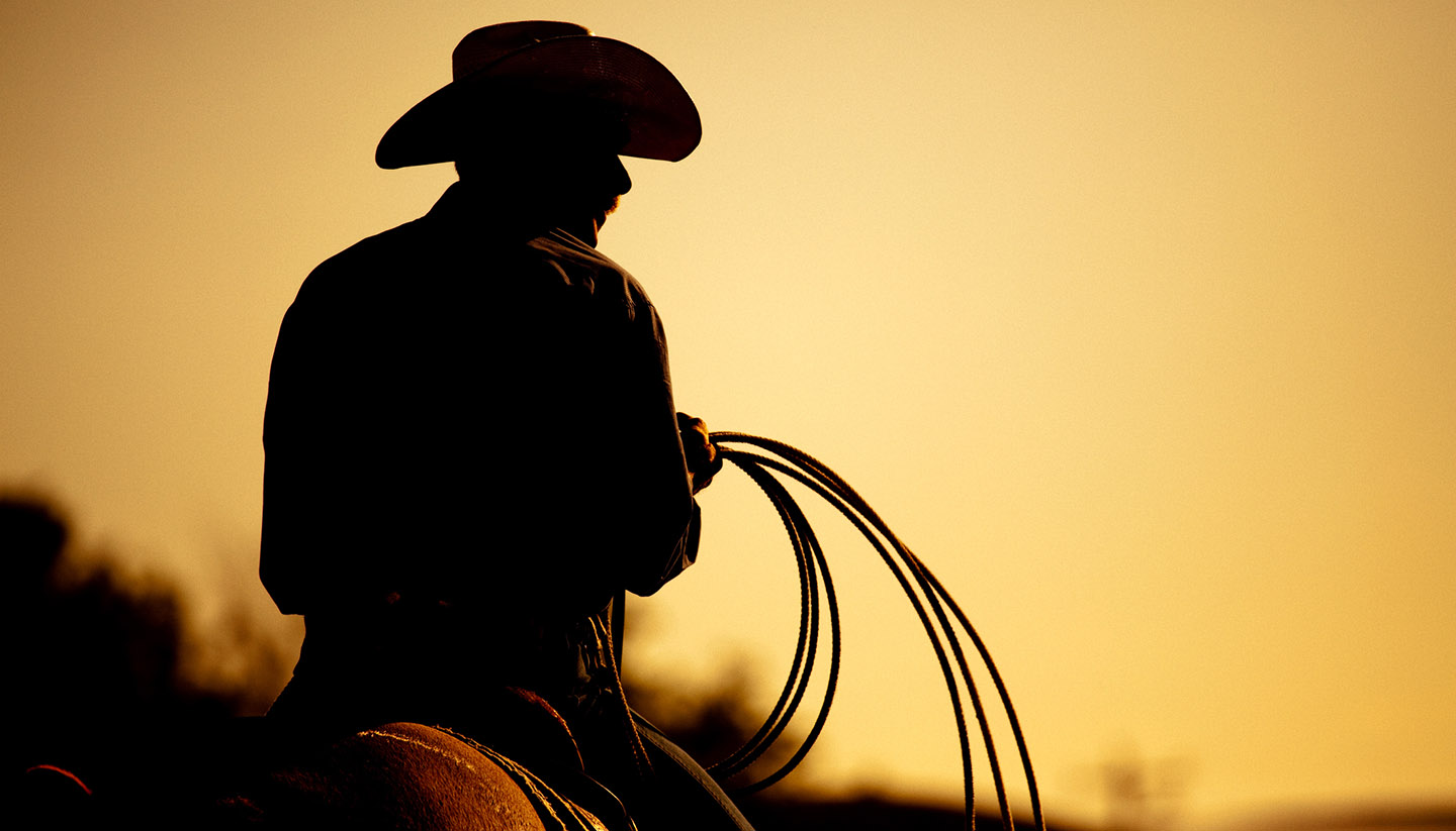 Wyoming - rodeo cowboy silhouette