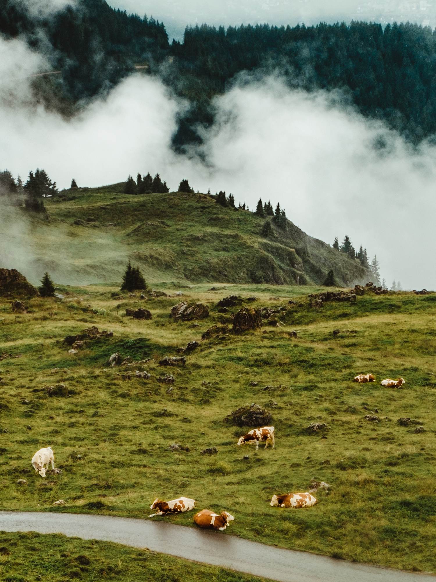 Bei spannenden Bergtouren, können Natur und Tiere hautnah erlebt werden.