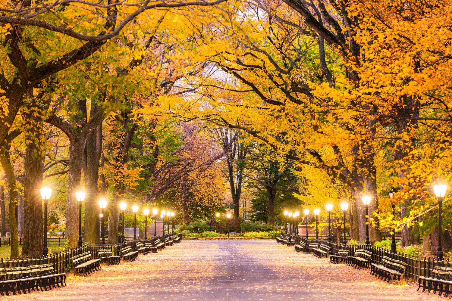 Der Central Park im Herbst